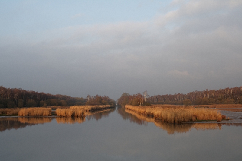 IMG_6389_raw.jpg - Etang Corbet (au 50 mm)