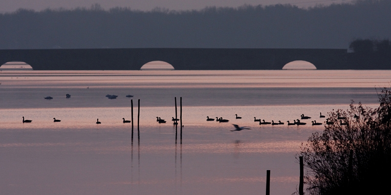 IMG_7771_raw.jpg - Etang de Pourras