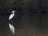IMG_6400_raw