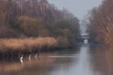 IMG_7806_raw