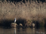 IMG_1757
