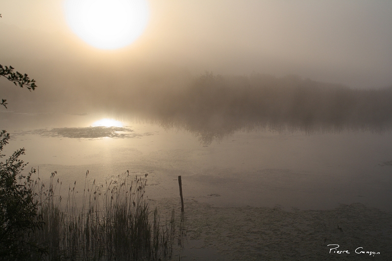 IMG_2366.JPG - Lever de soleil sur l'Etang de Pourras