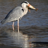 IMG_2072