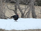 IMG_9205