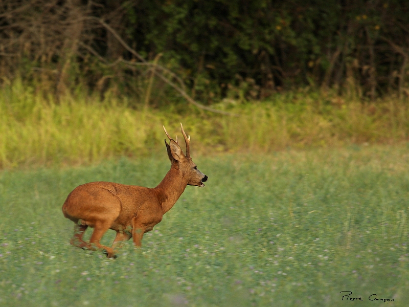 IMG_5643.JPG