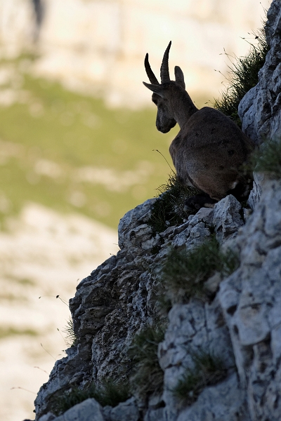 IMG_5454_PF.jpg