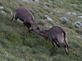 IMG_7214_PF