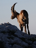 IMG_7291_PF
