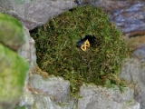 IMG_1901_PF