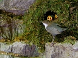 IMG_2064_PF