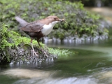 IMG_8390