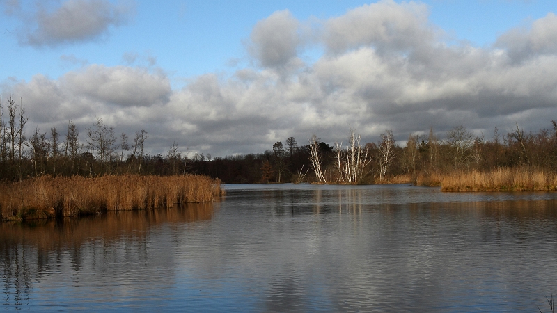 IMG_3013.JPG - Etang Pointes