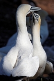 IMG_1296_PF