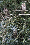 IMG_9008
