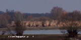 IMG_8102_