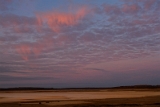 IMG_1593_PF