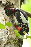 IMG_1148