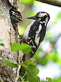 IMG_2468