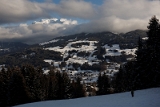 IMG_5330_PF