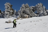 11IMG_4292_