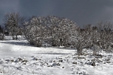23IMG_4206_