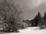 24IMG_4191_