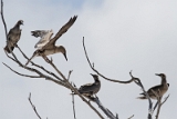 IMG_8021_PF