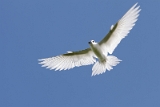 IMG_3463_PF