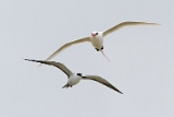 IMG_5317_PF