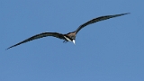 IMG_6785_