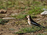 IMG_8759_PF