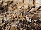 IMG_8892_PF
