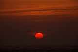 IMG_0099_PF