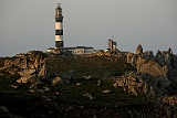 IMG_0198_PF
