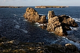 IMG_0341_PF