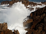 IMG_9020_PF