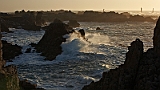 IMG_9406_C1