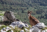IMG_6337_PF