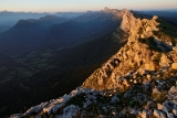IMG_6855_PF