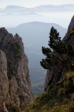 IMG_7415_PF