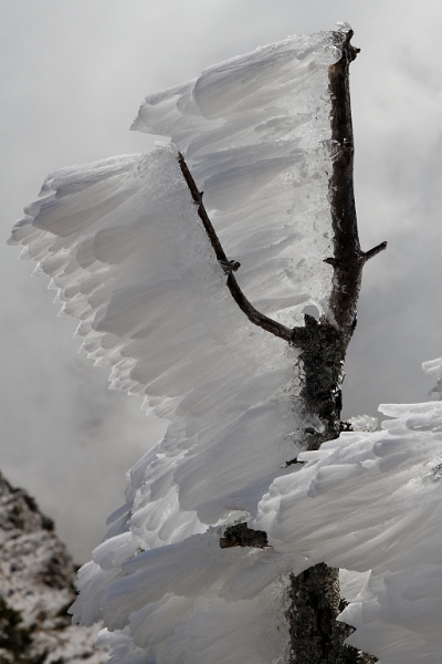 IMG_1920_PF.jpg - Concrétions de glace - Pas de la Balme