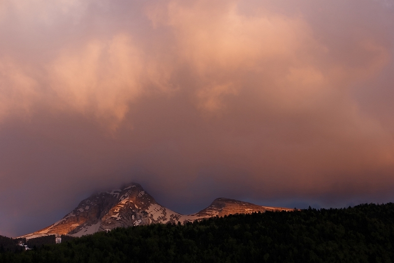 IMG_4385_PF.jpg - Grande et Petite Moucherolle au crépuscule