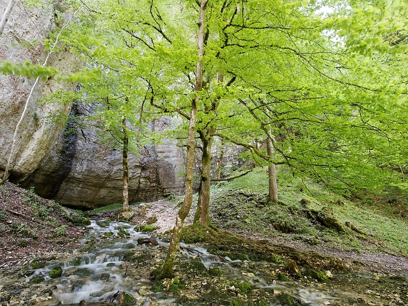 IMG_4403_PF.jpg - Gorges du Bruyant