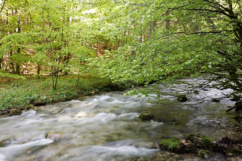 IMG_4457_PF.jpg - Gorges du Bruyant