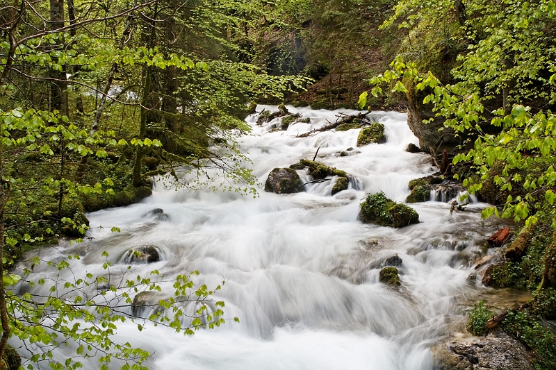 IMG_5035_PF.jpg - Gorges du Bruyant