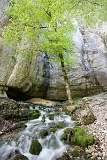 IMG_4404_PF