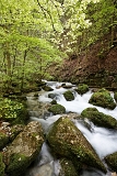 IMG_4415_PF