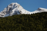 IMG_4474_PF