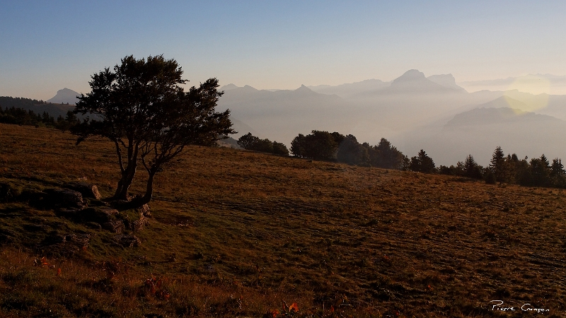 IMG_1706_.jpg - Plateau de la Molière (Engins, 38)