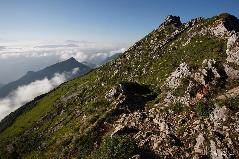 _MG_9430_.jpg - Sur le Balcon Est, près du  Col Vert  (Villard de Lans, 38)